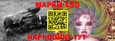 mdpv Рыбинск
