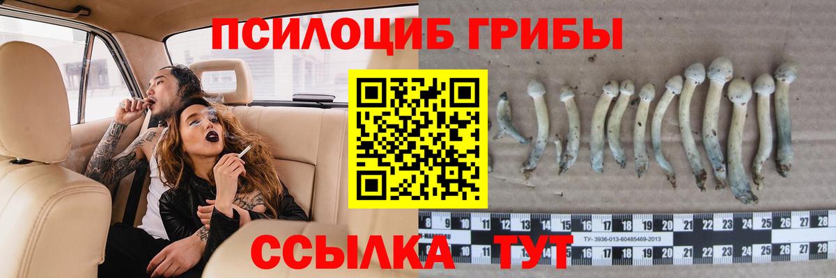Галлюциногенные грибы мухоморы  Вход с VPN  Сатка 